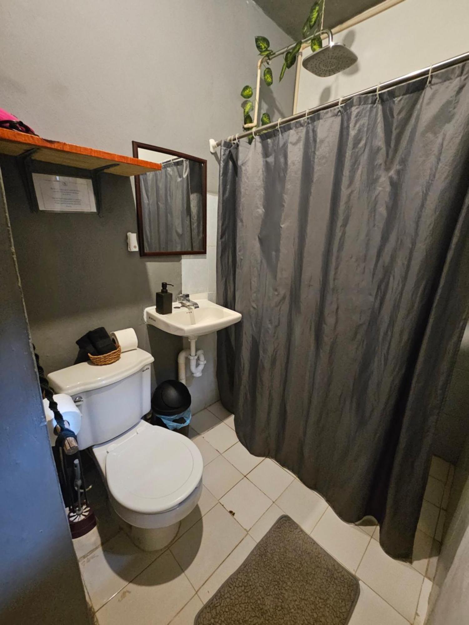Apartment Jungla