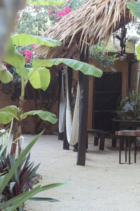 Apartment Jungla Bacalar