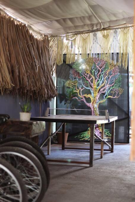Jungla * Bacalar