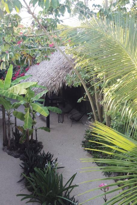 Apartment Jungla