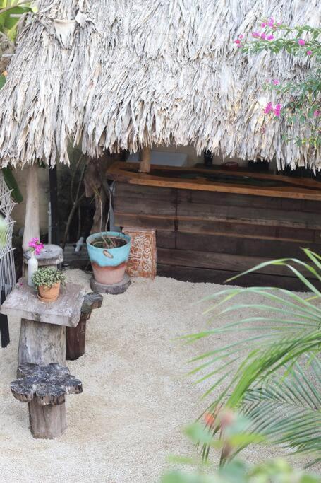Apartment Jungla *