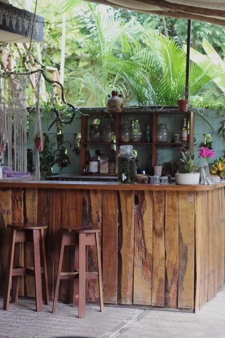Jungla Apartment *
