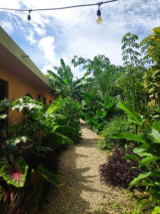 Jungla Apartment Bacalar