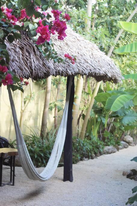 Jungla Bacalar
