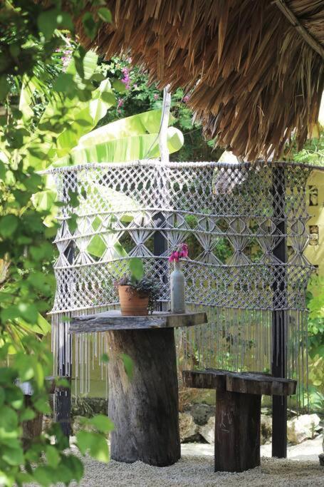 Jungla Apartment *