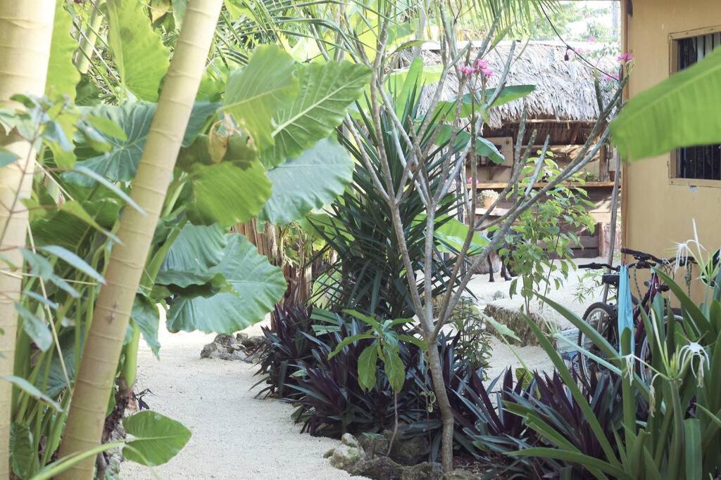 Apartment Jungla Bacalar