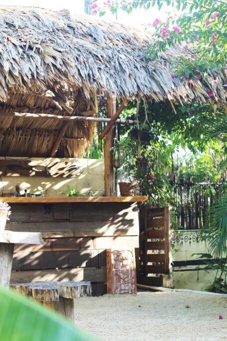 Jungla * Bacalar
