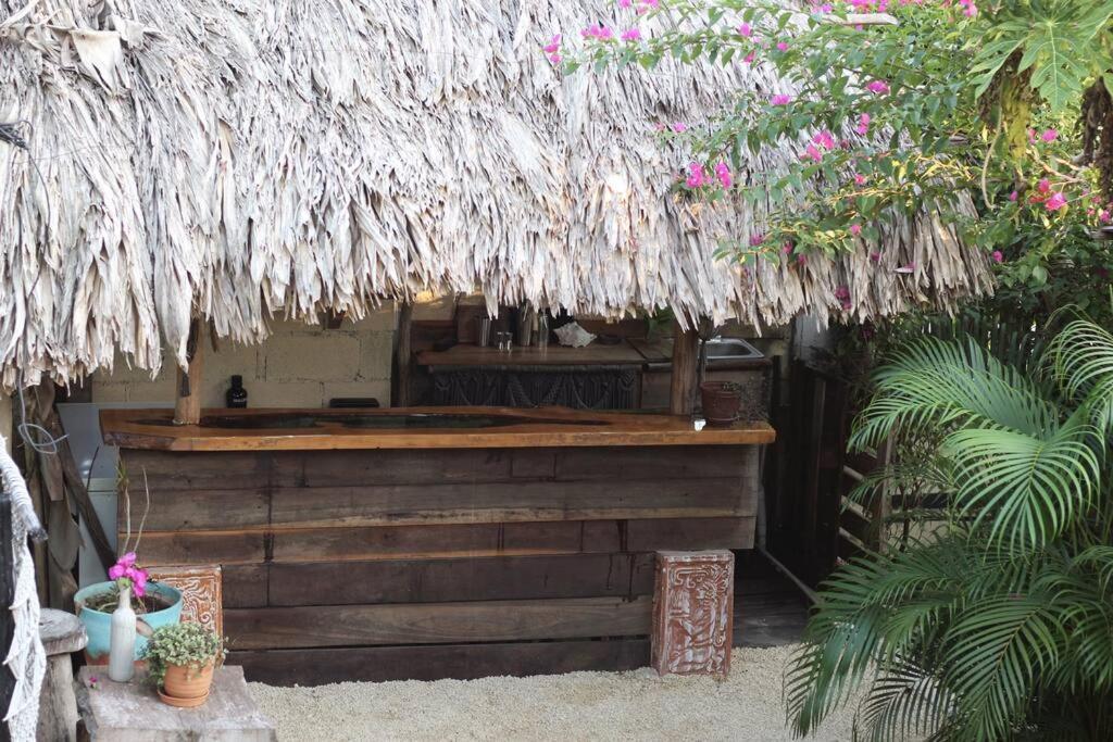 Jungla Apartment