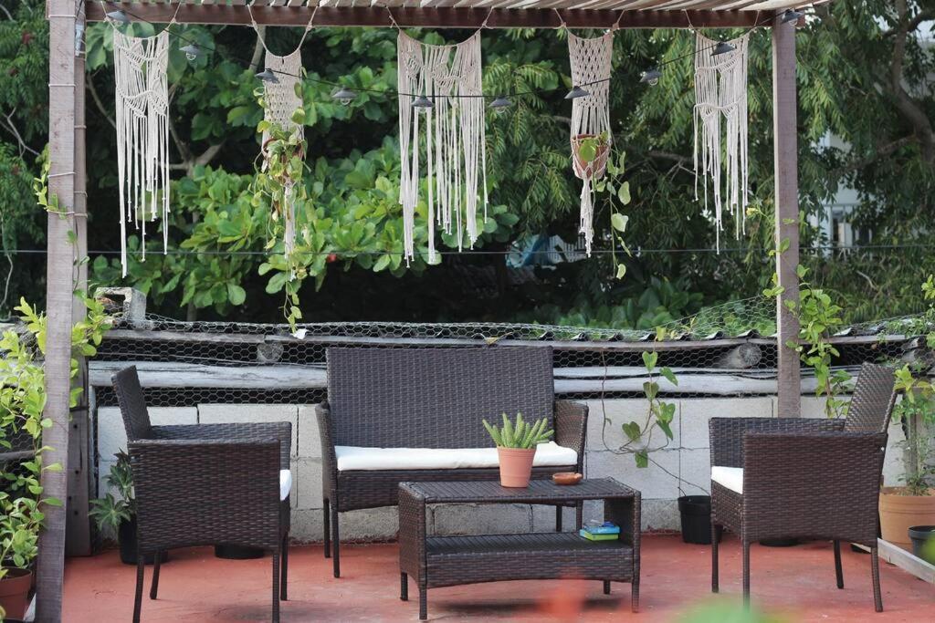 Jungla Apartment *