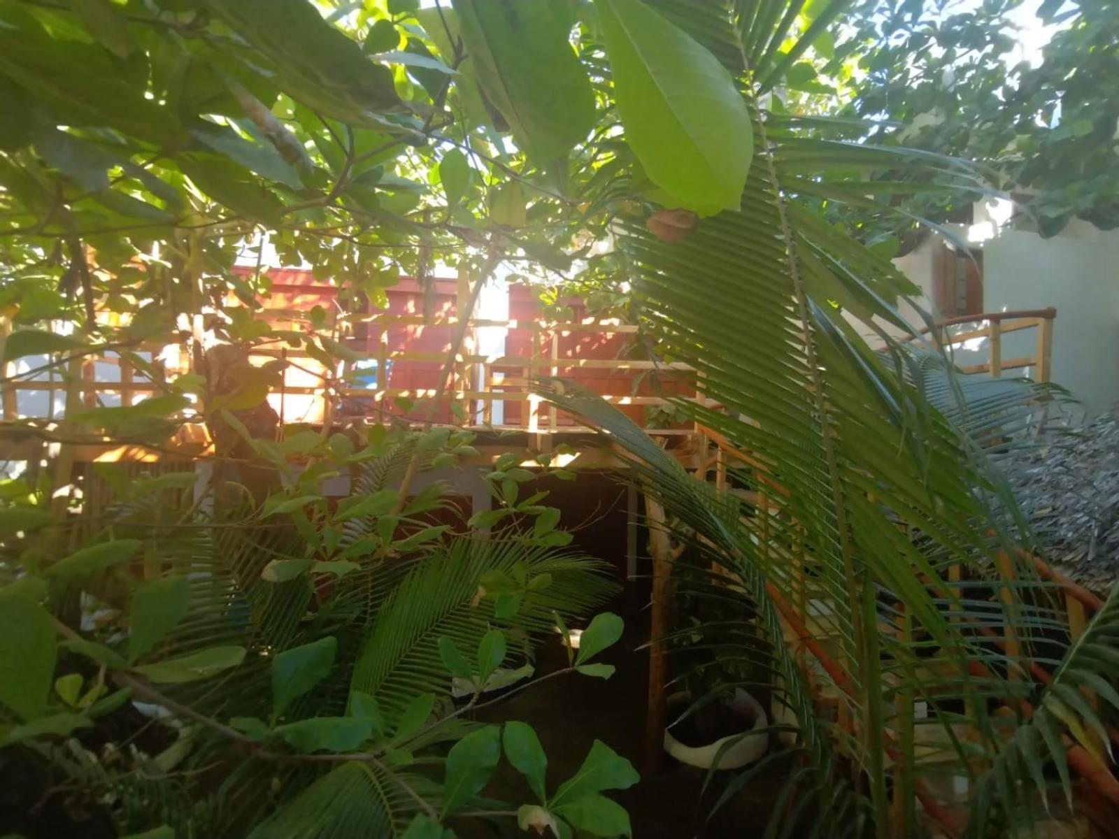 Bambu Ecocabanas Lodge San Agustinillo