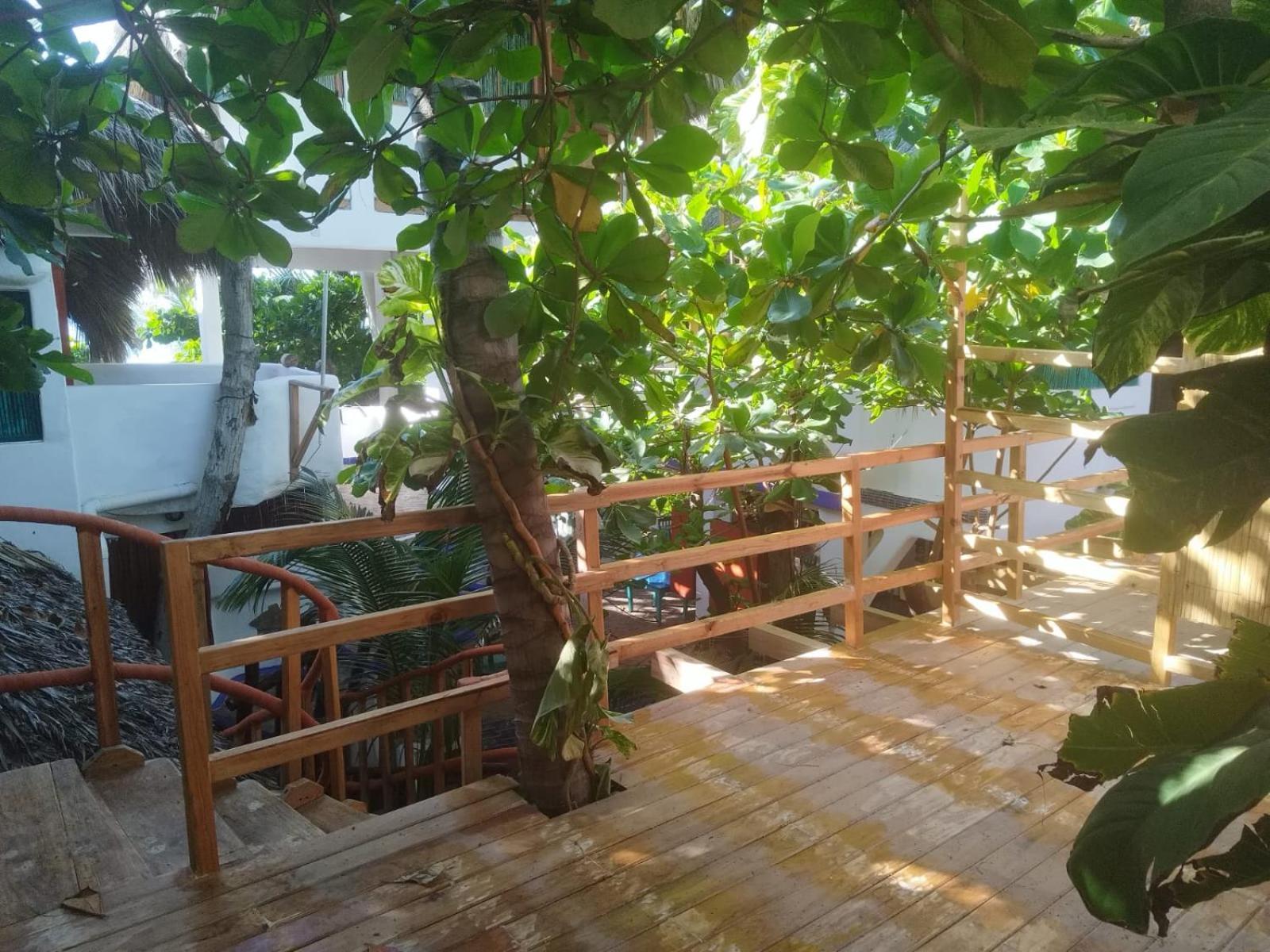 Bambu Ecocabanas * San Agustinillo