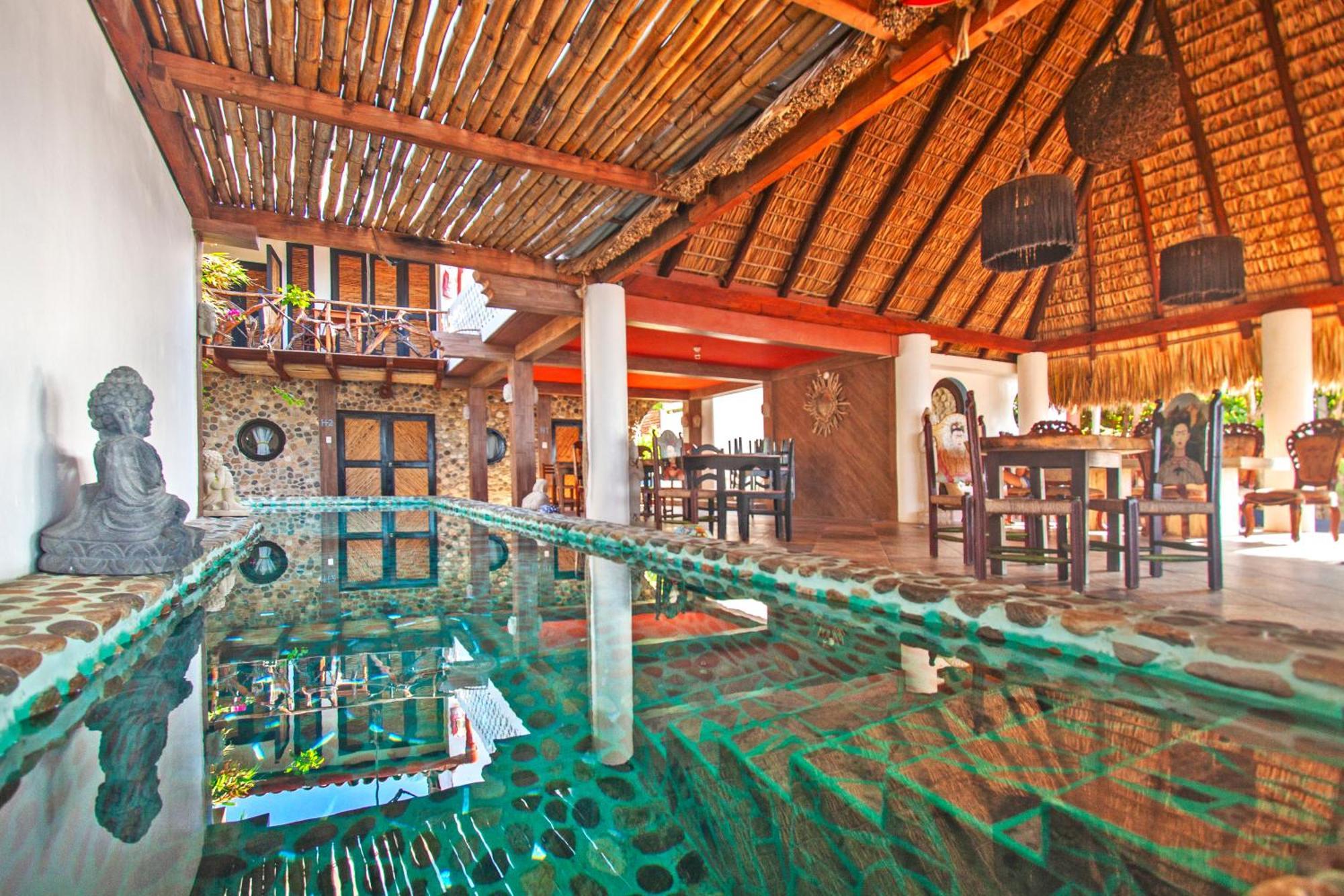 Hotel Buda-tortuga