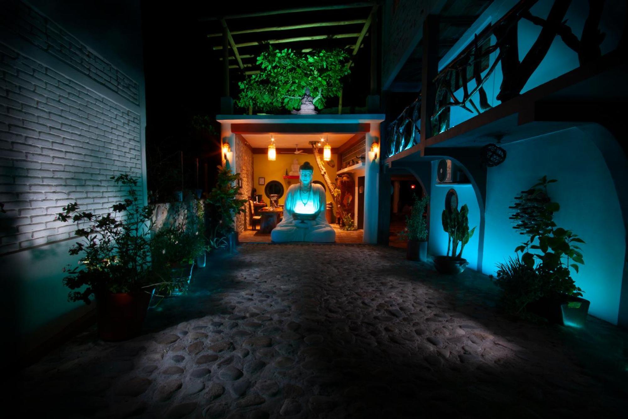 Buda-tortuga Hotel San Agustinillo