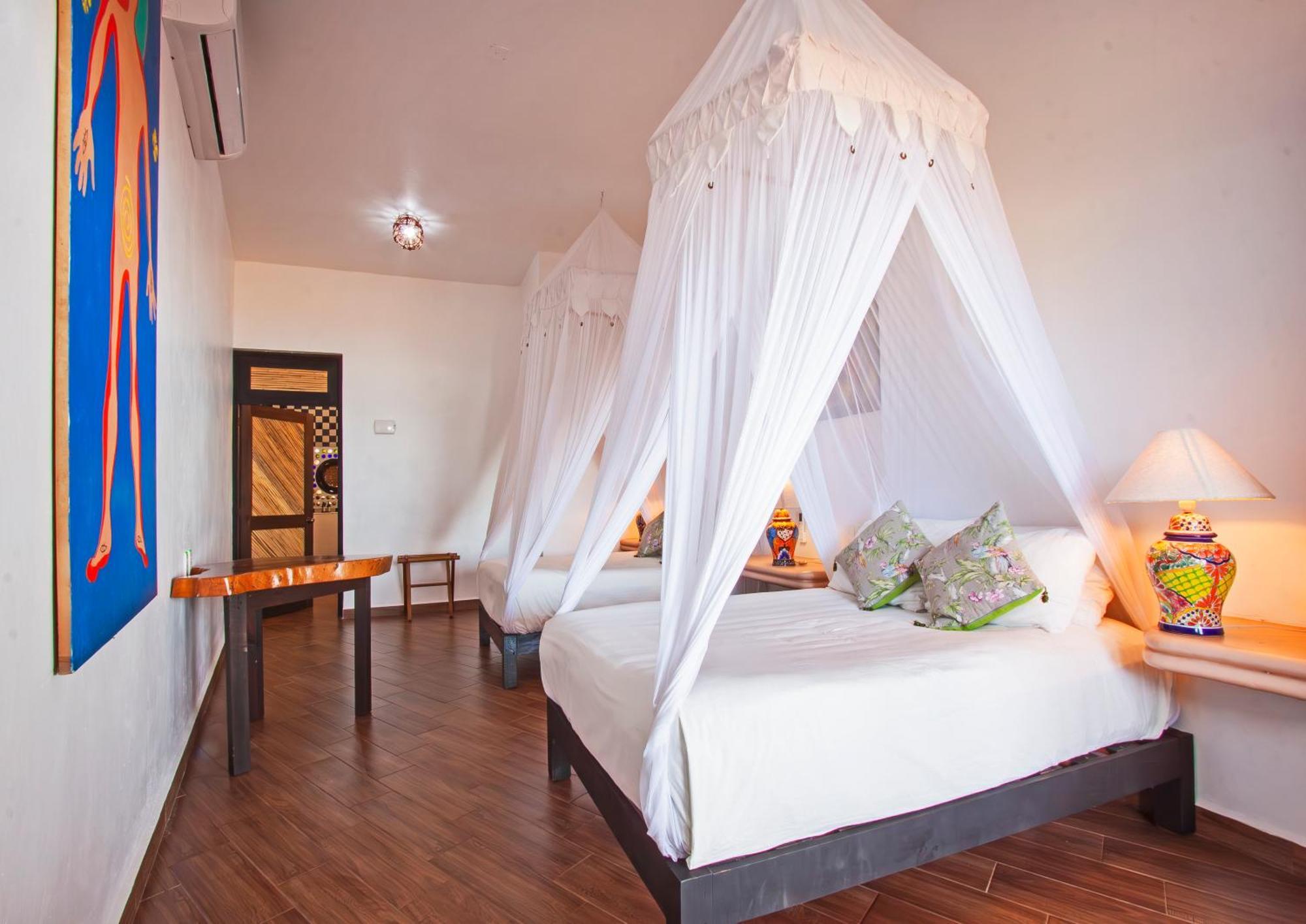 Buda-tortuga 5*
