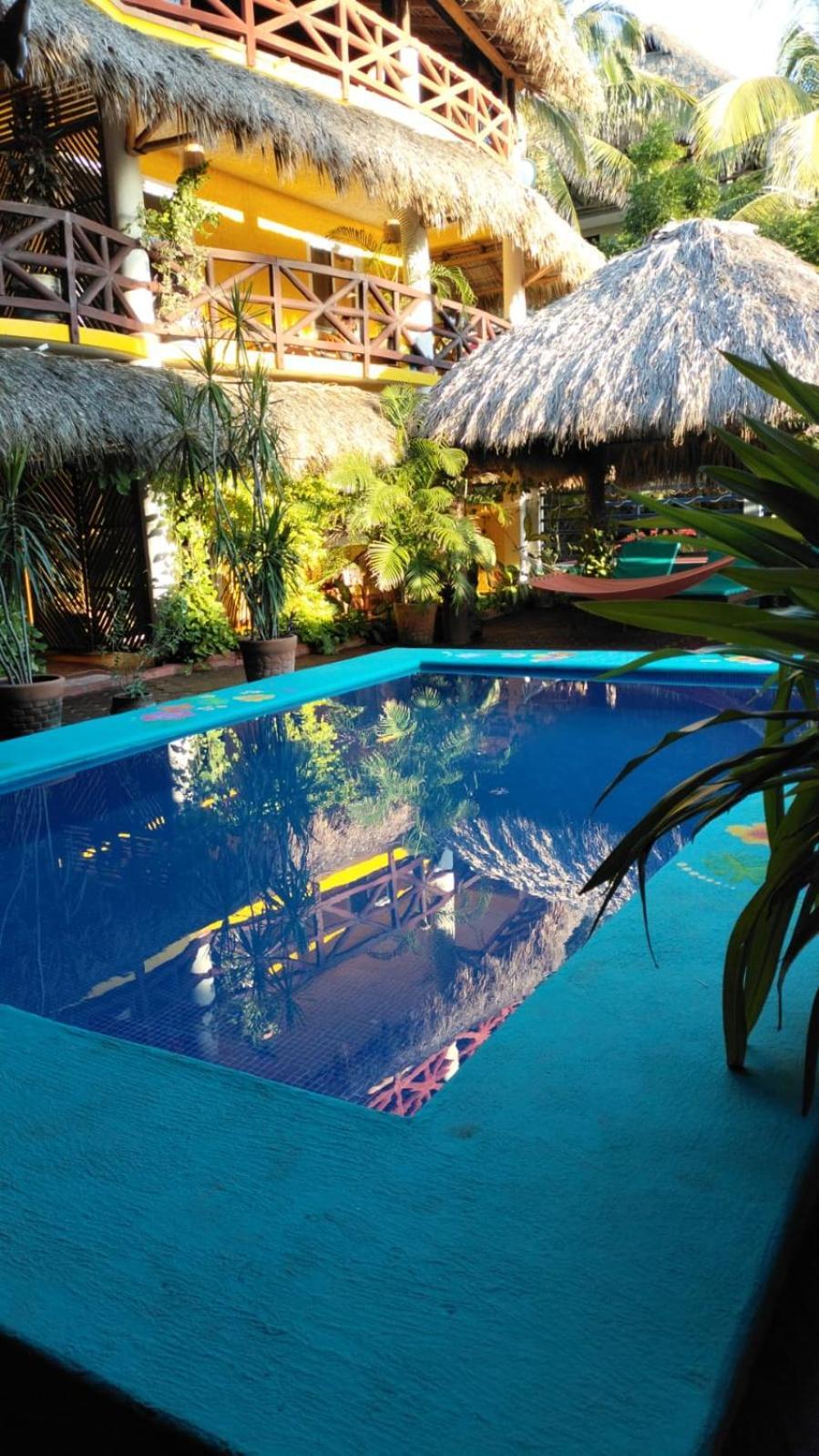 La Bella Margarita * Brisas de Zicatela