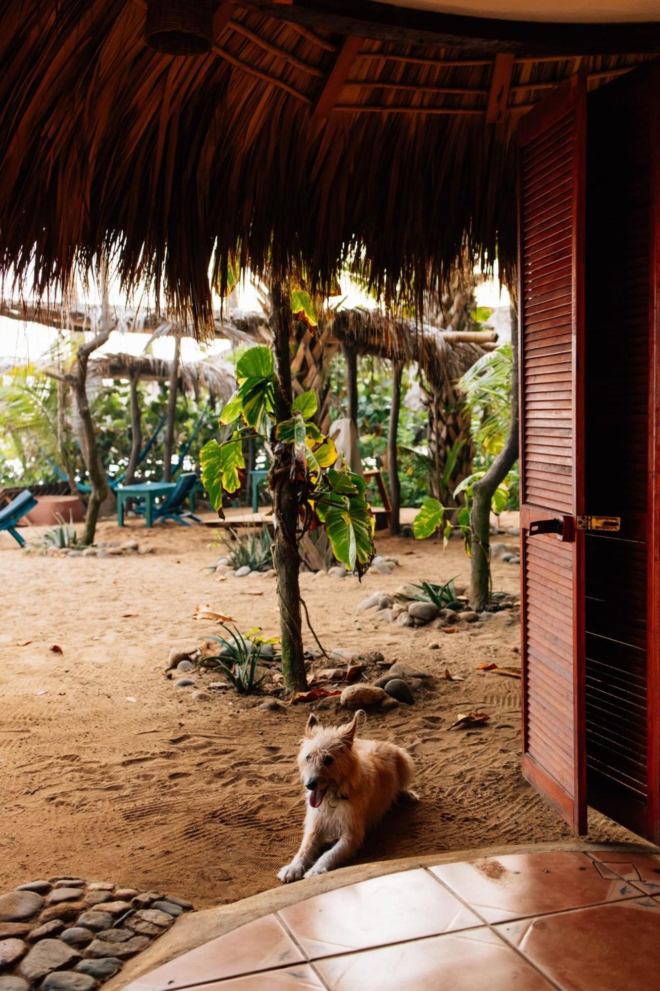 Bambu Ecocabanas San Agustinillo