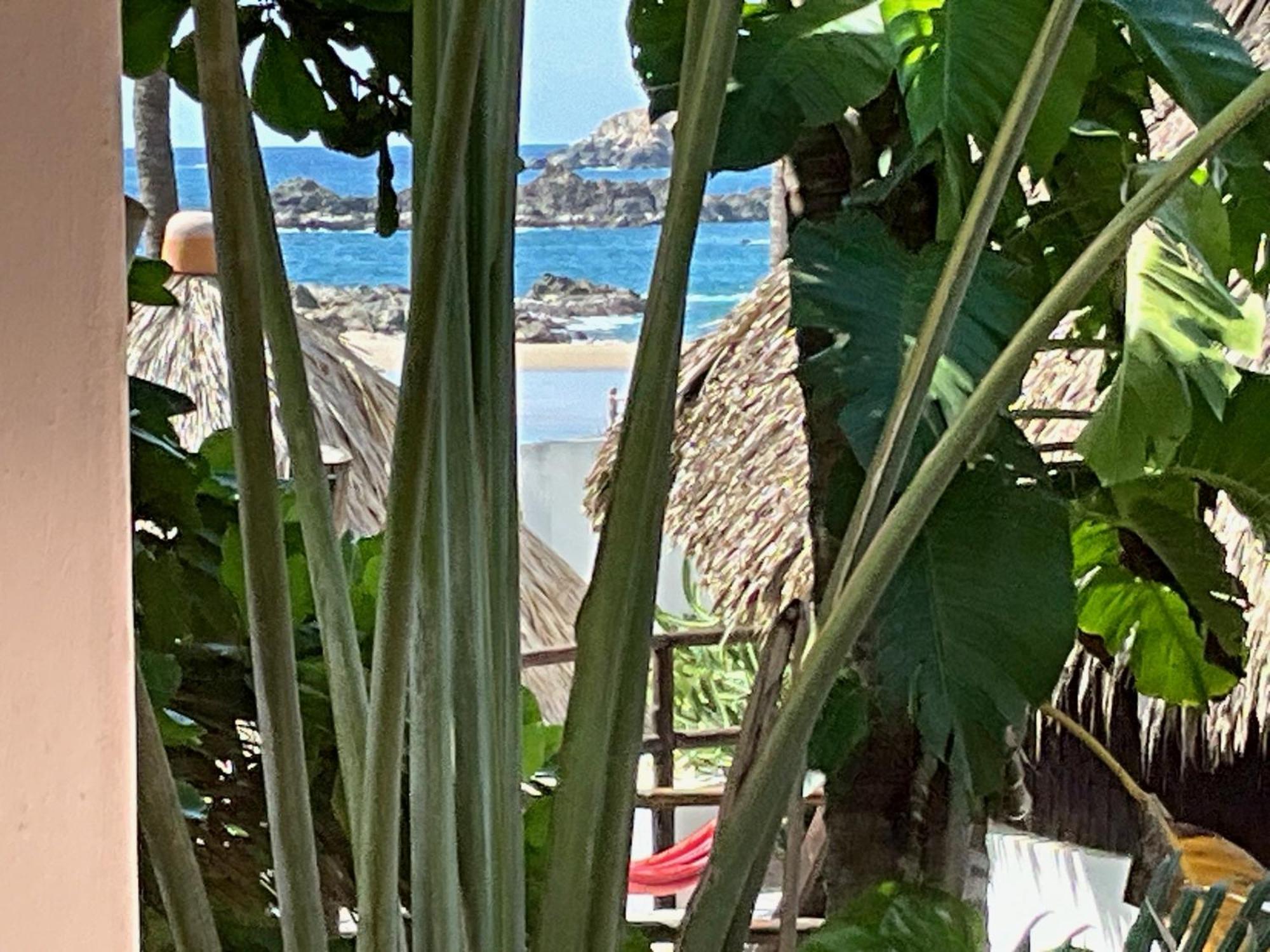 Lodge Bambu Ecocabanas