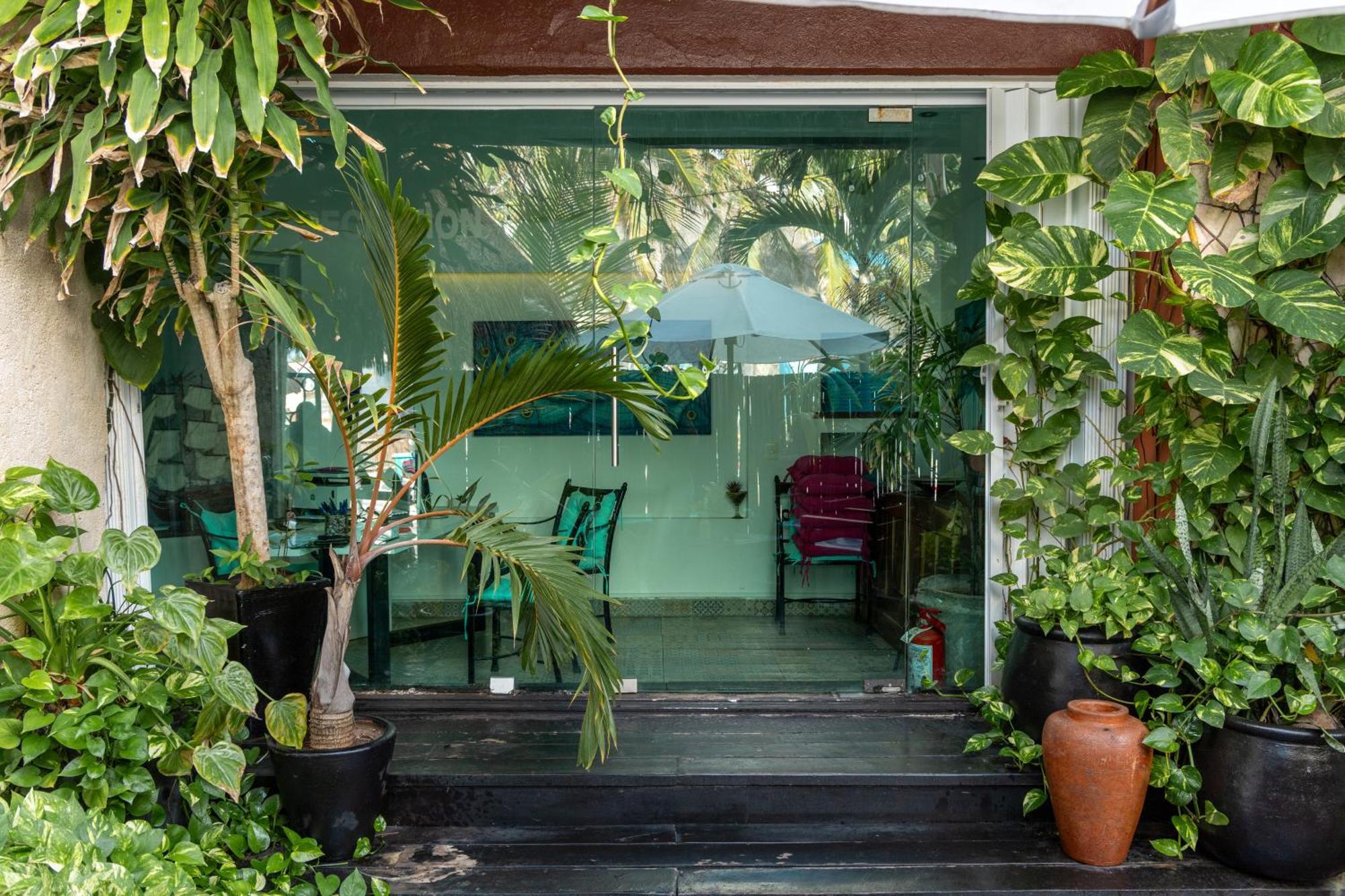 Hotel La Palma Beachfront Boutique - Self Check In Cancun
