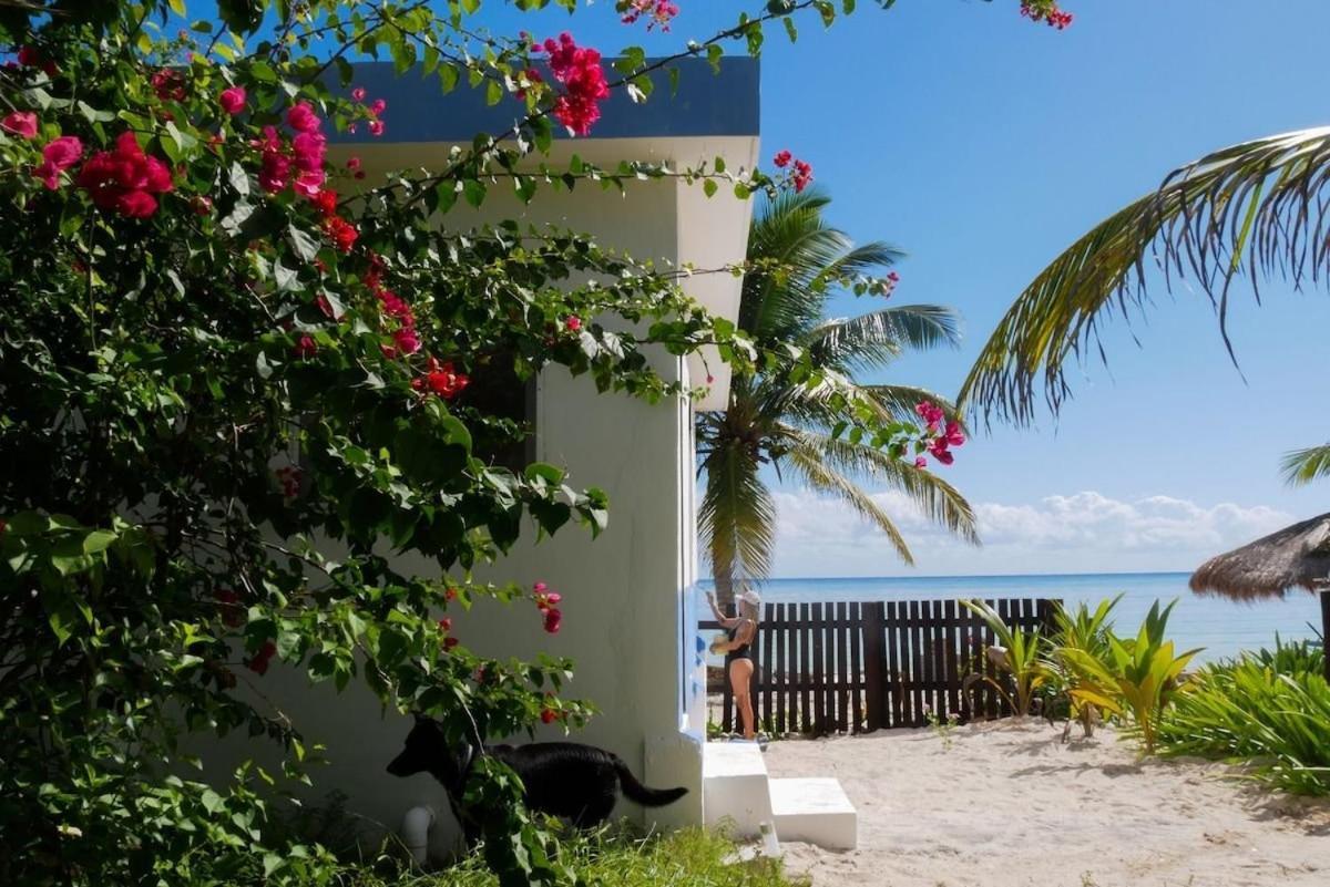 Pronoia Casa De Playa Mahahual
