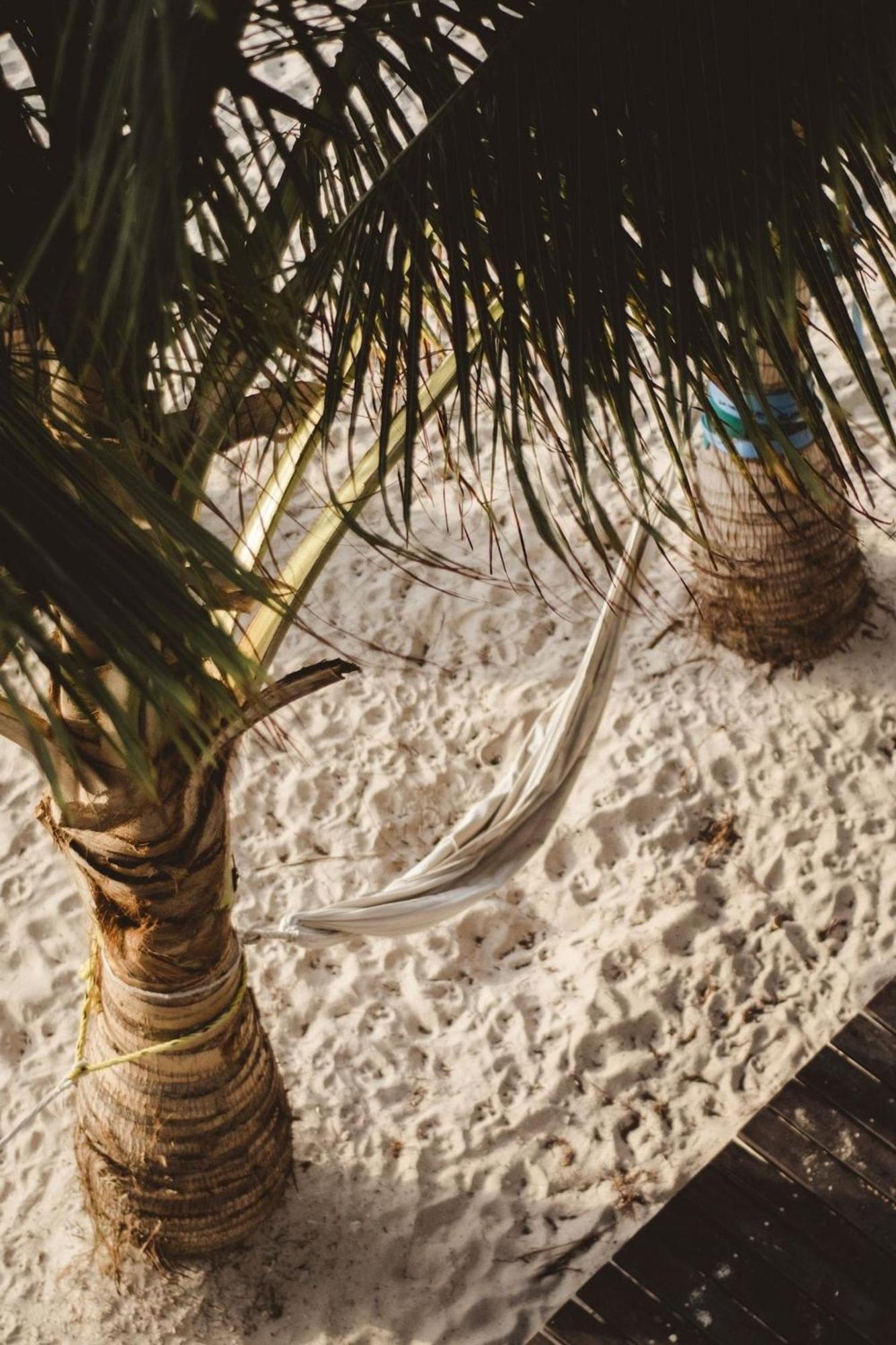 Pronoia Casa De Playa Holiday home