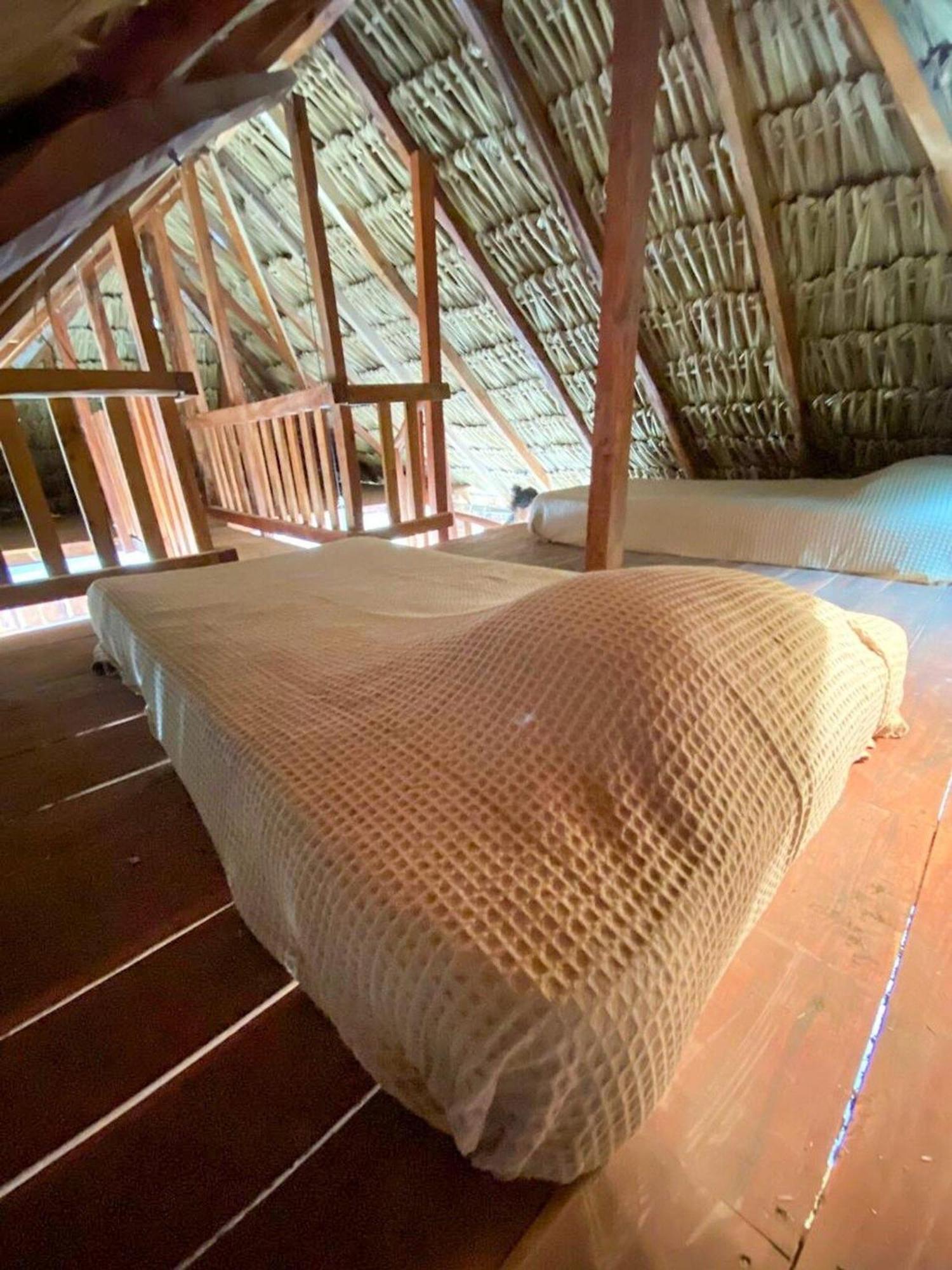 Casa Tropicana * El Cuyo