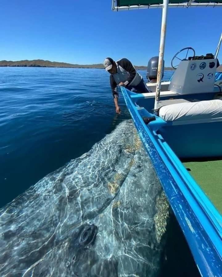 Loreto Playa Boutique Hotel Loreto (Baja California Sur)