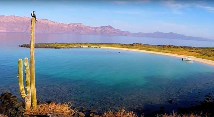 Loreto Playa Boutique Hotel 3*