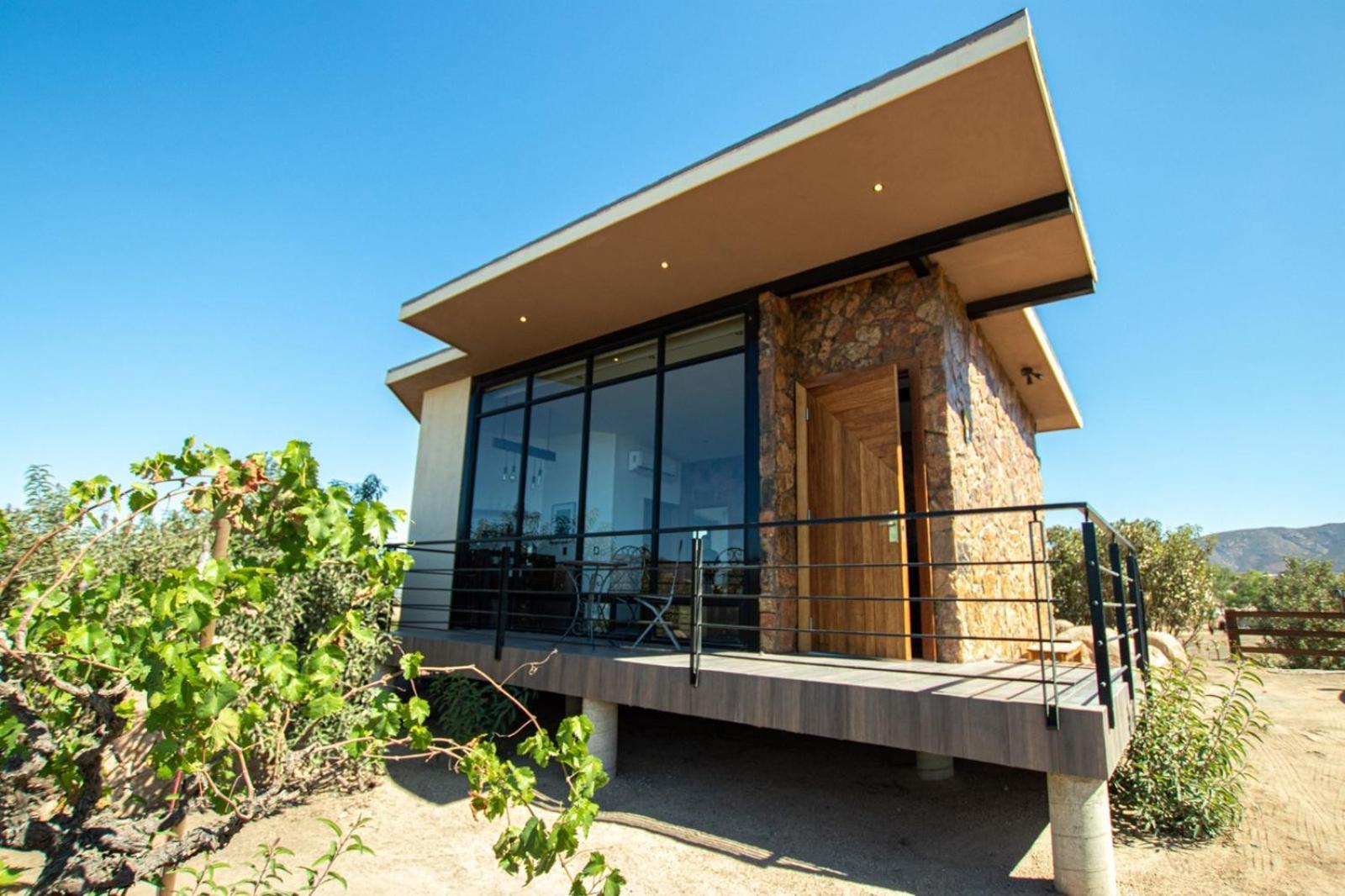 Contemplacion & Valle de Guadalupe
