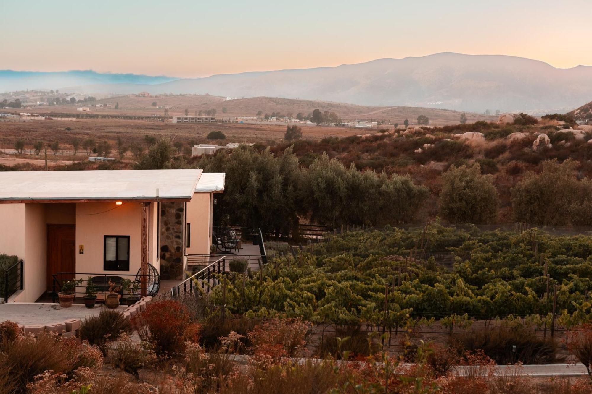 Hotel Contemplacion & Valle de Guadalupe