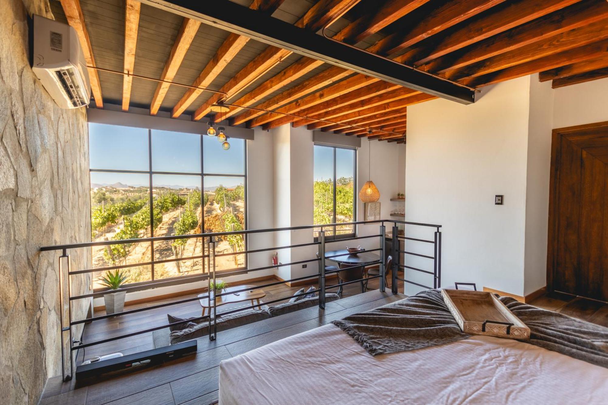 Contemplacion & 5* Valle de Guadalupe