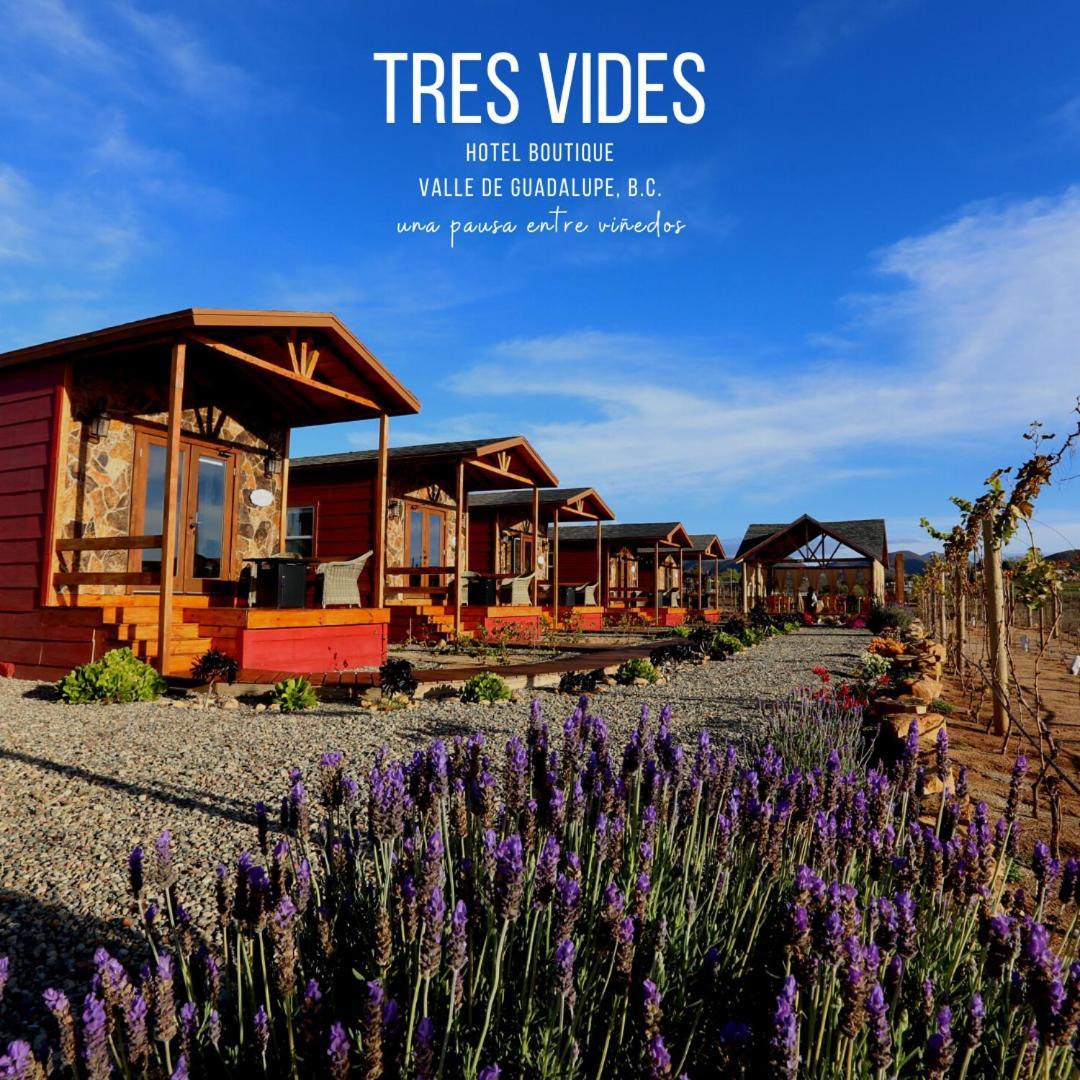 Bed & Breakfast Tres Vides Boutique Valle de Guadalupe