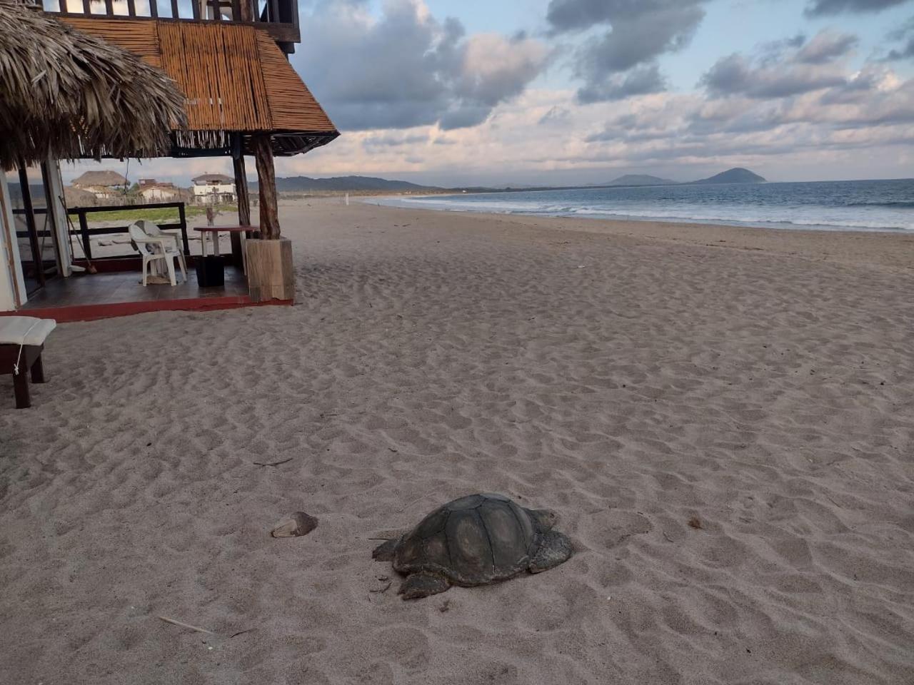 Alta Mar Hotel 5*