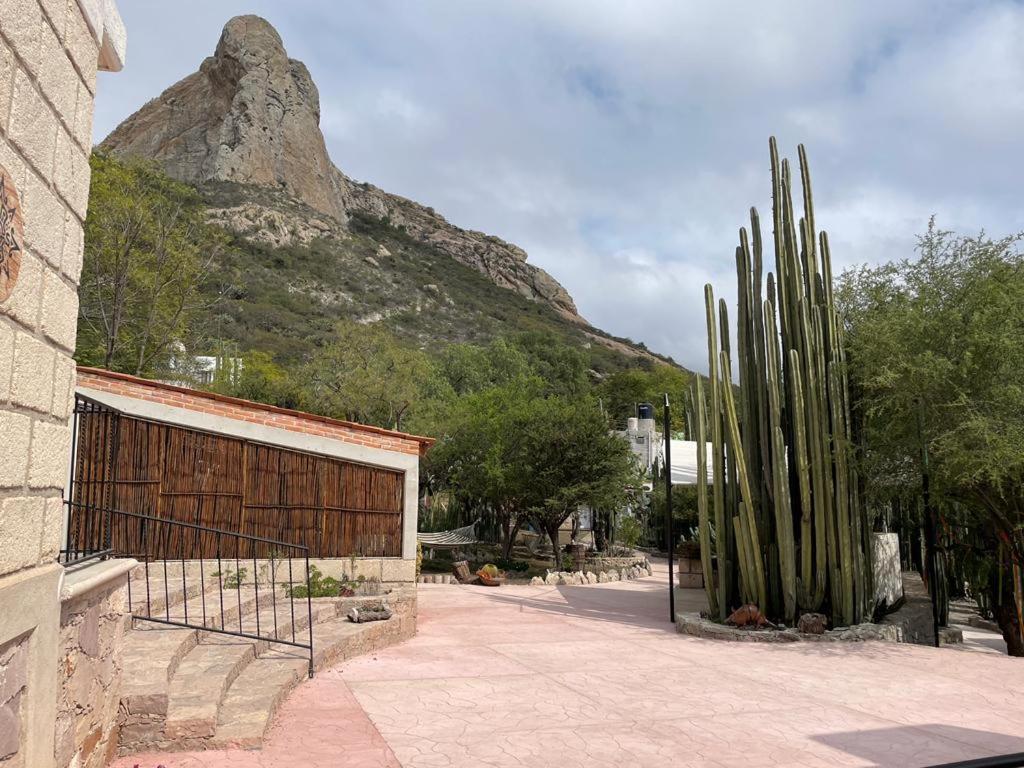 Hotel Boutique La De Don Luis 5*