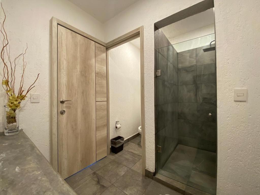 Aeropuerto Morelia Hotel 5*