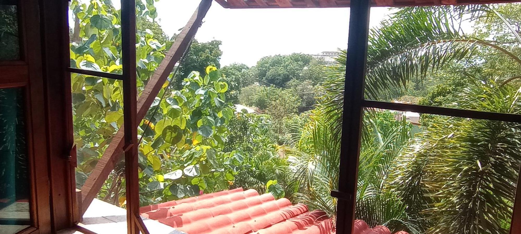 Olivo Hotel *