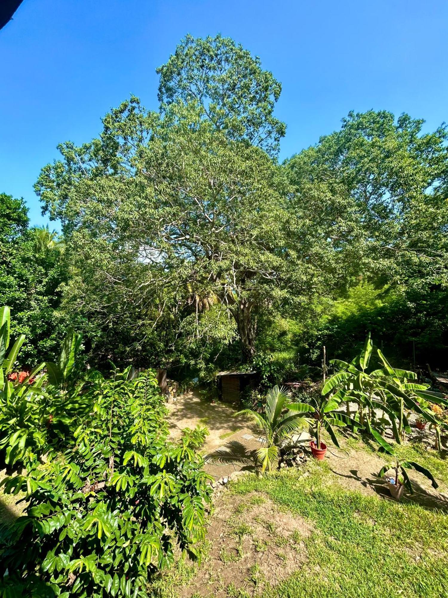 A Son De Mar - Playa Gatas Acceso Por Mar Homestay