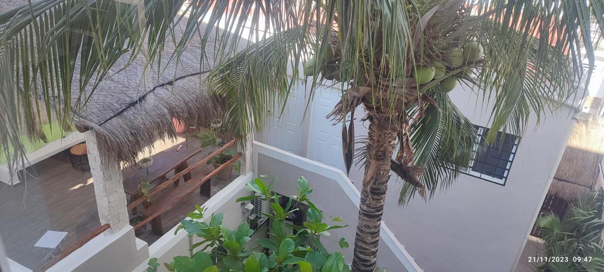 Kika Guest house 3*