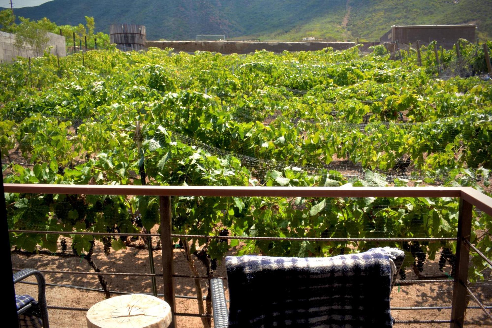 Uvauva Eco-retreat Bed & Breakfast
