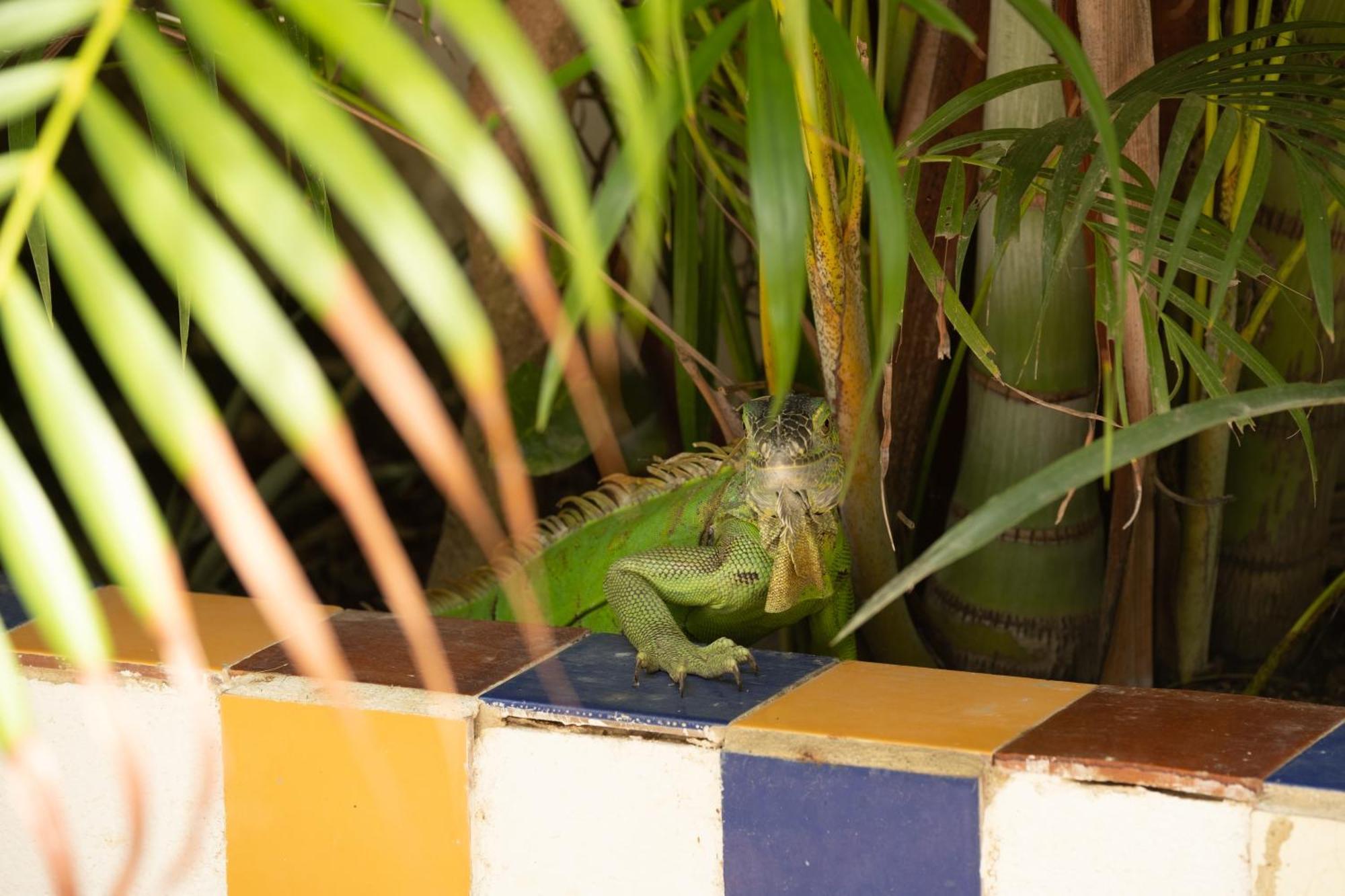 Casa Tierra Viva
