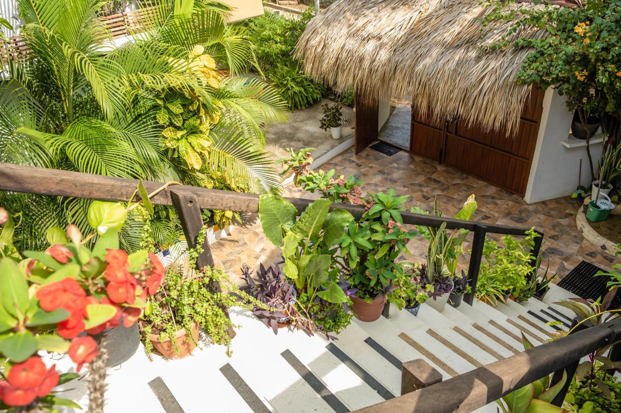Casa Tierra Viva Mazunte