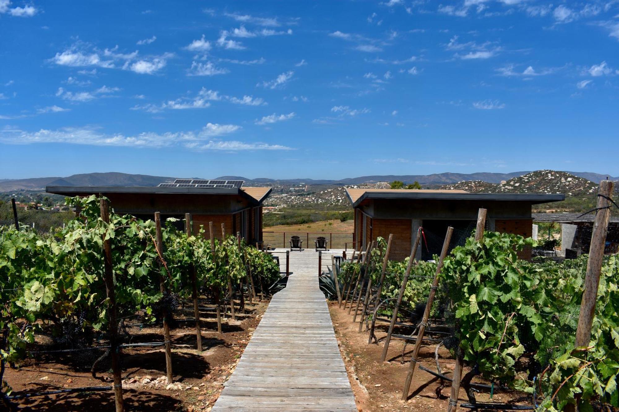 Uvauva Eco-retreat Bed & Breakfast Valle de Guadalupe