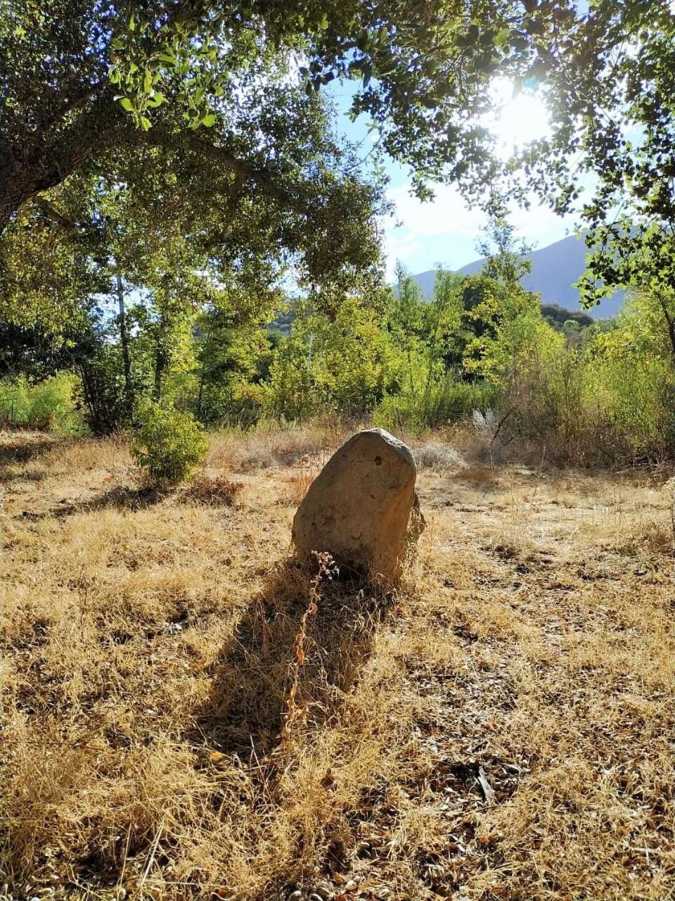 Quinta Maria En La Ruta Del Vino Valle de Guadalupe
