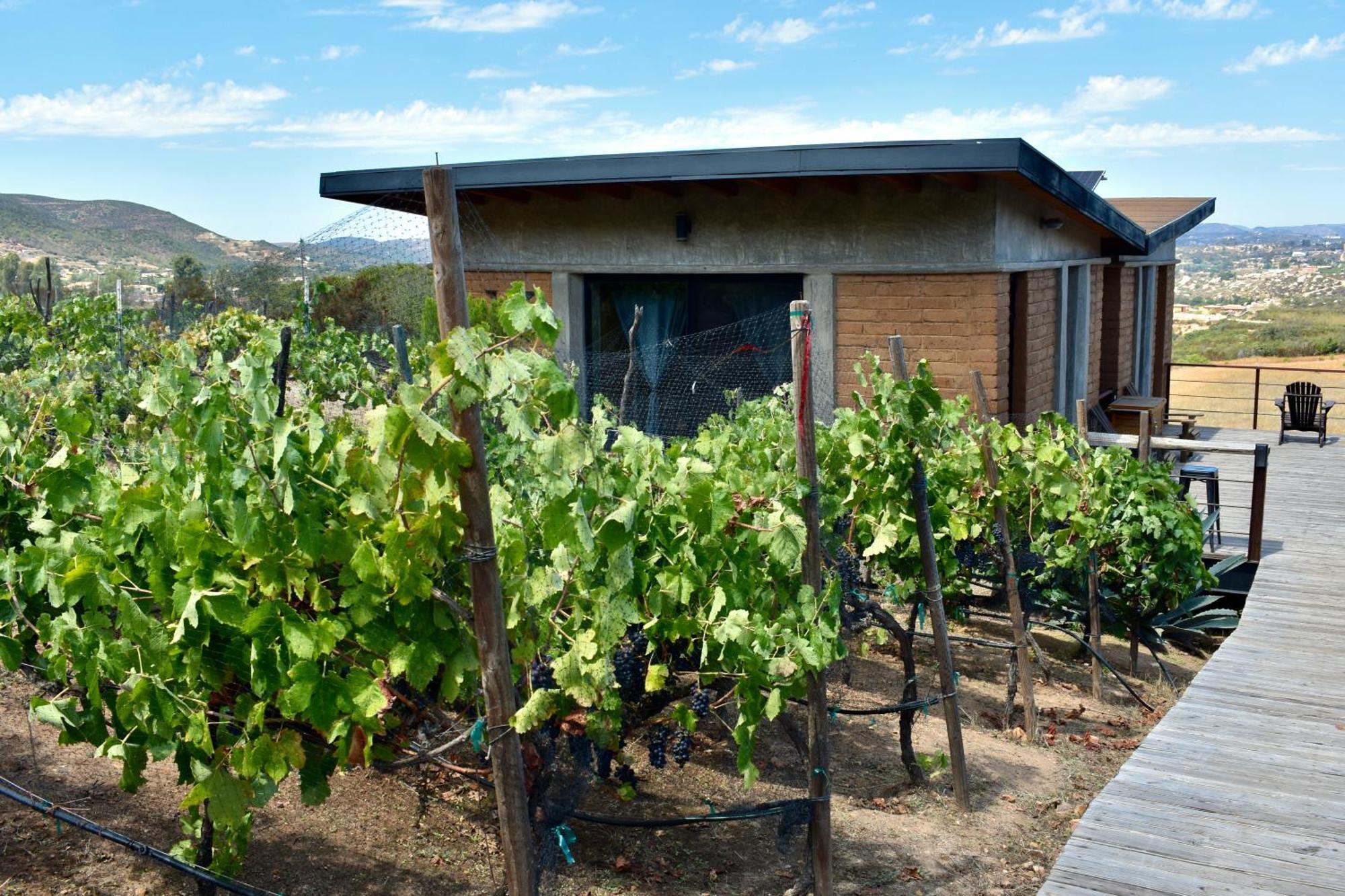Uvauva Eco-retreat Valle de Guadalupe
