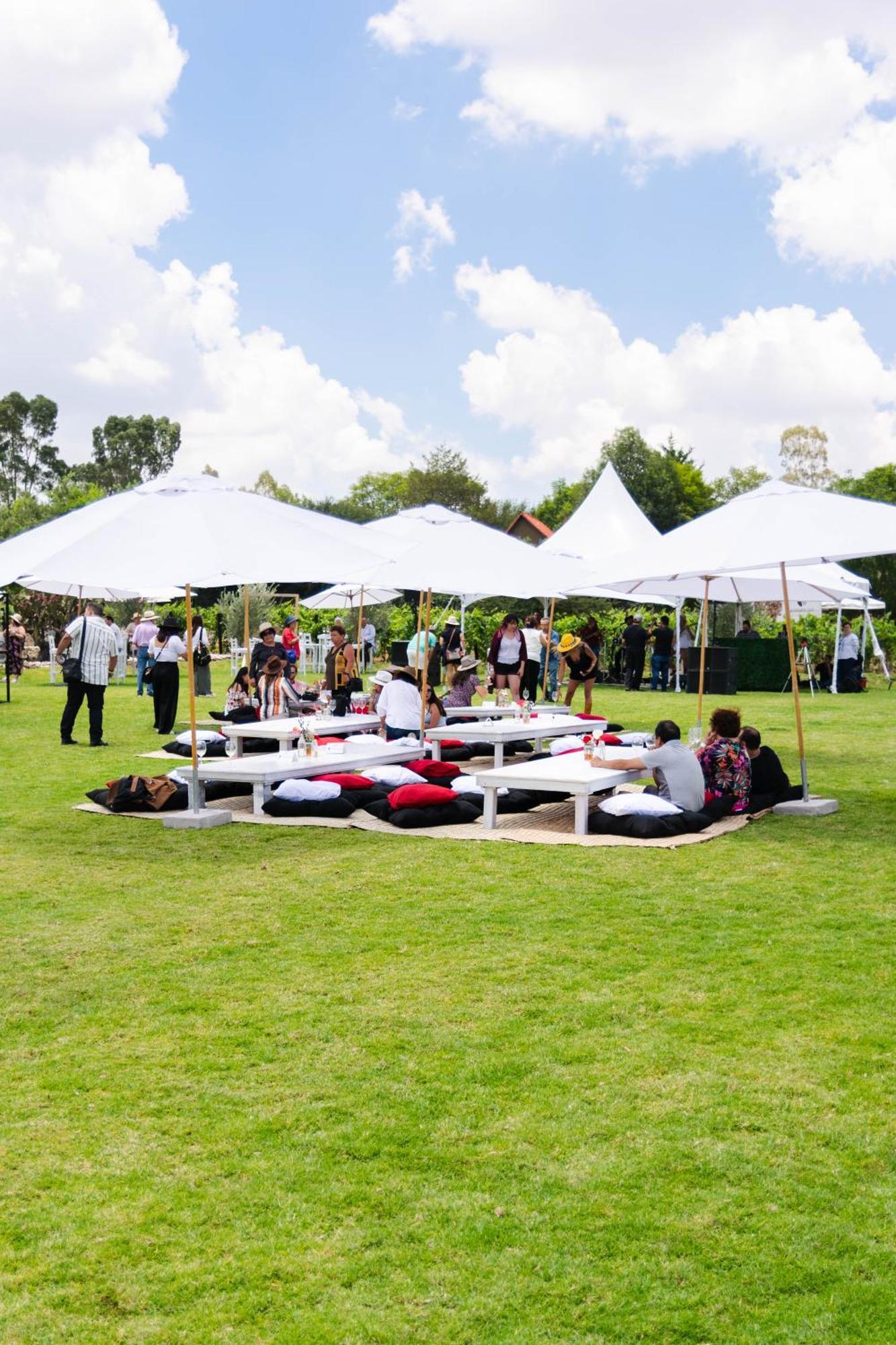Bodegas Vaiven Boutique *