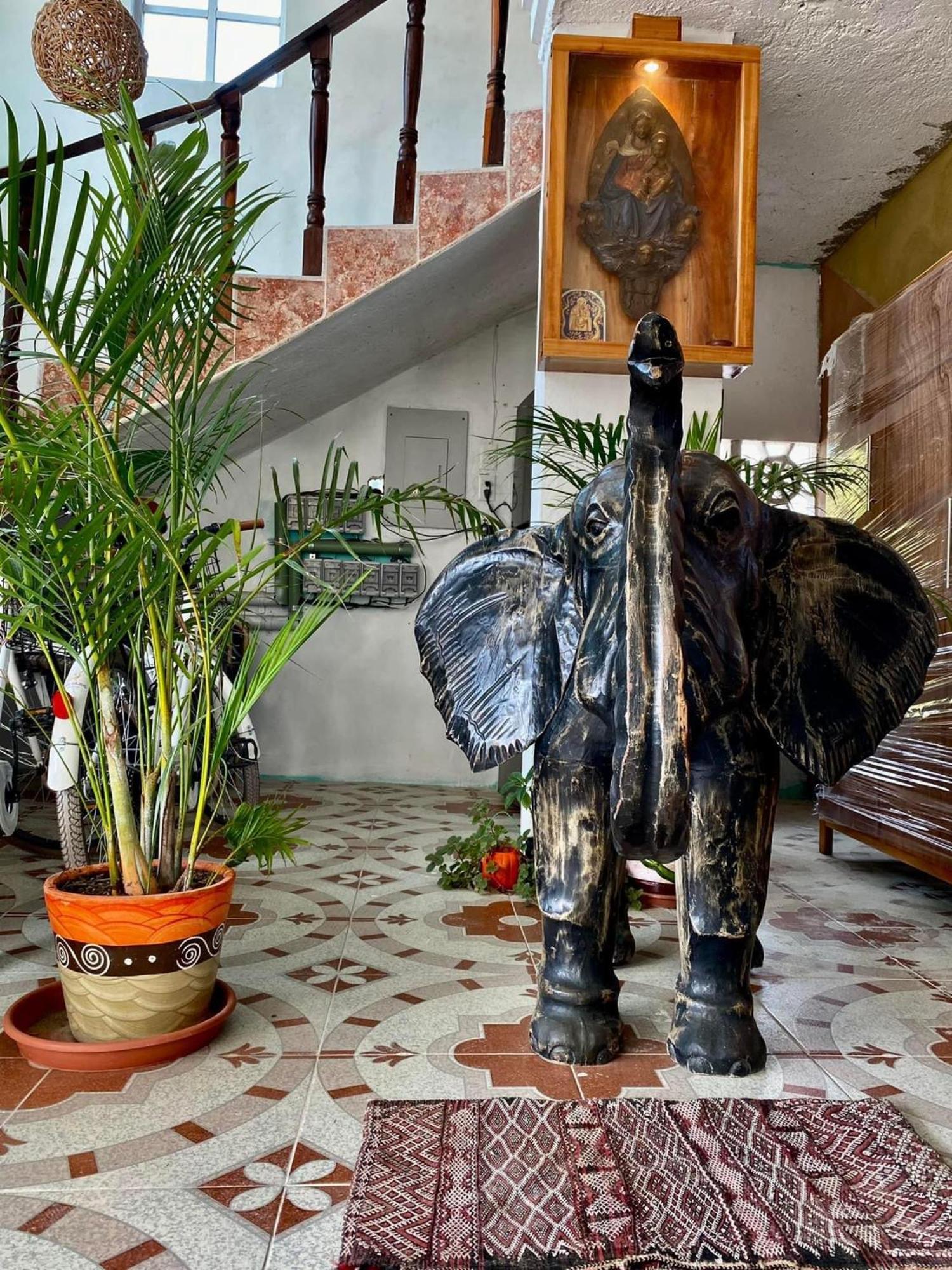 Inn Casa Gajah Cuyo