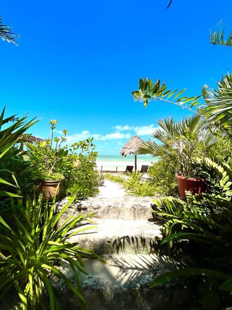 Casa Tom Tom - Adults Only * Isla Holbox