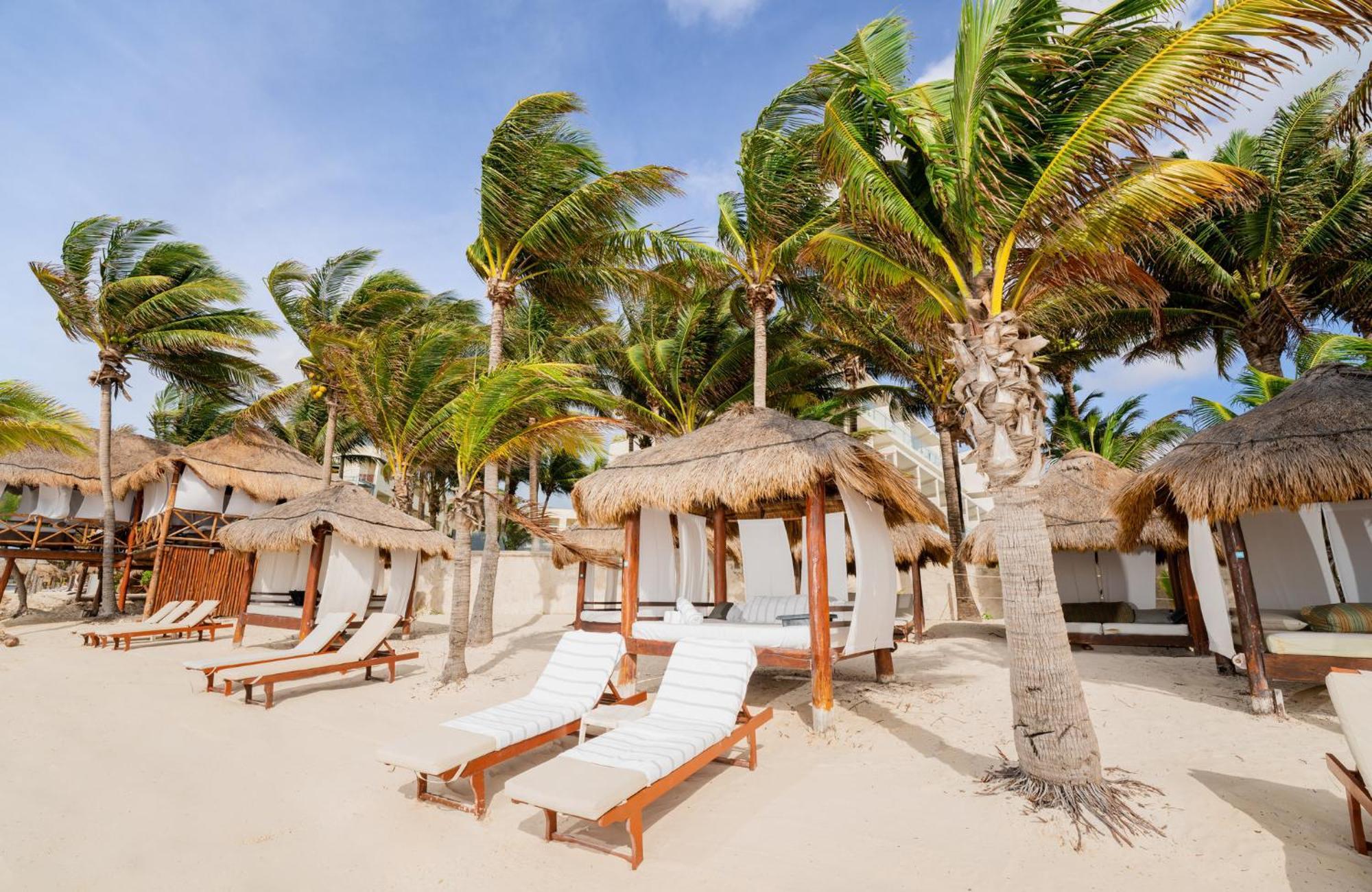 Palmar And Riviera Maya Resort Puerto Morelos