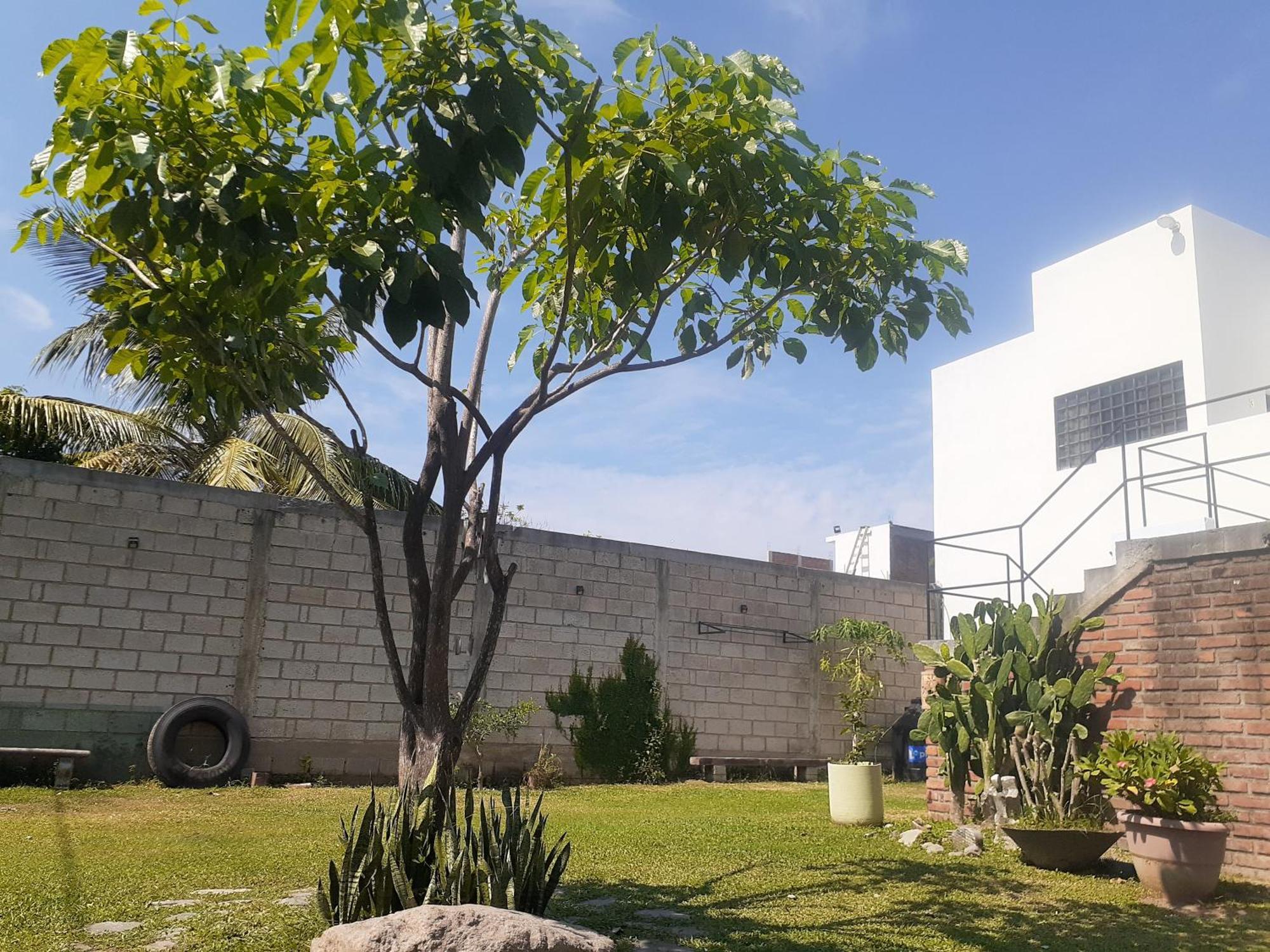 Loft Con Jardin Amplio 3 * Puerto Vallarta