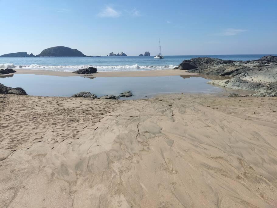 Ixtapa Zihuatanejo Alegria Y Familia