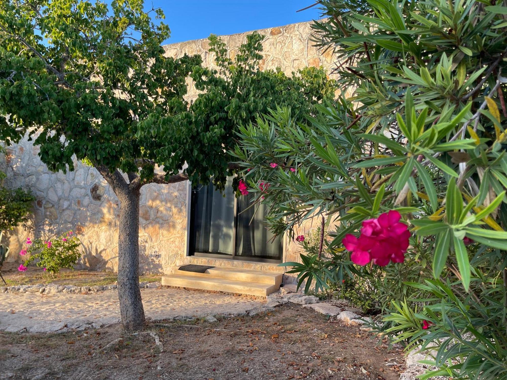 Homestay Bremar 85 Private Place - Adults Only Celestun